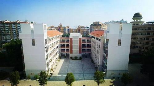 汕尾龙溪小学最新爆料,揭秘校园生活新篇章